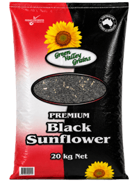 PREMIUM BLACK SUNFLOWER SEEDS thumbnail
