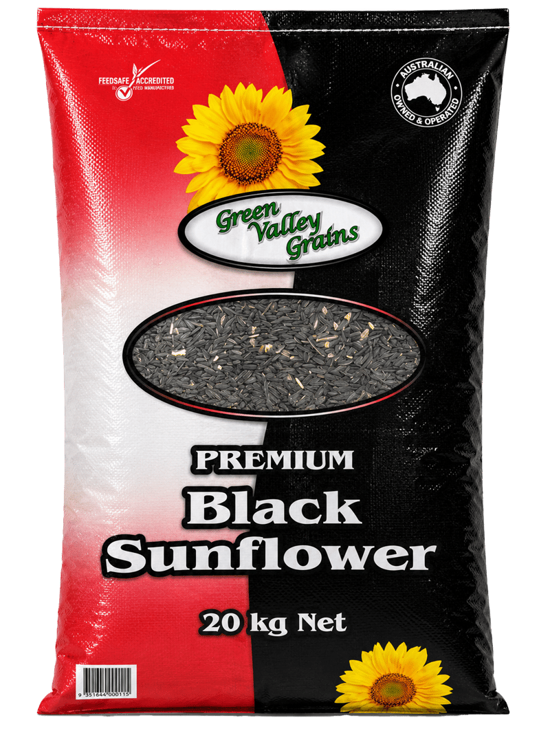 PREMIUM BLACK SUNFLOWER SEEDS