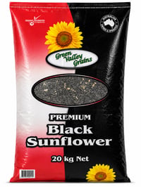 PREMIUM BLACK SUNFLOWER SEEDS thumbnail