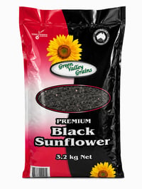 PREMIUM BLACK SUNFLOWER SEEDS thumbnail