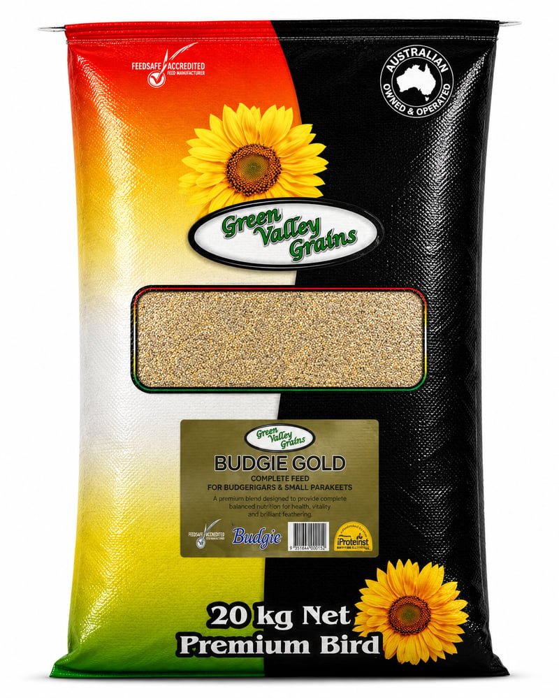 BUDGIE GOLD MIX