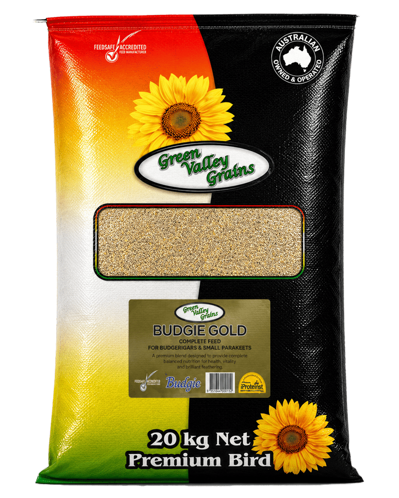 BUDGIE GOLD MIX