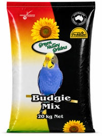 BUDGIE MIX thumbnail