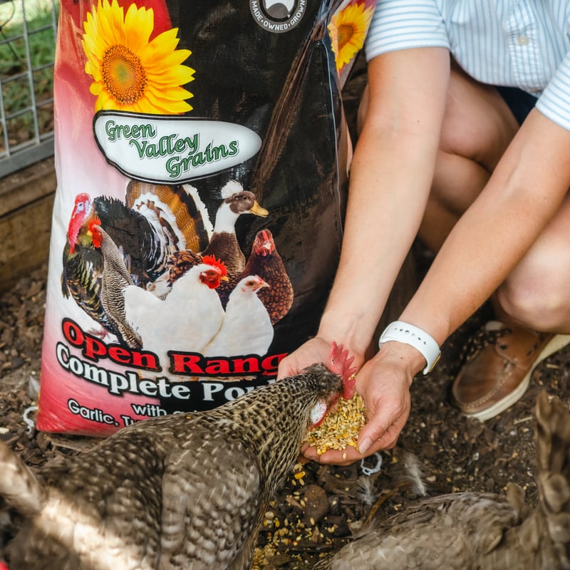 OPEN RANGE COMPLETE POULTRY