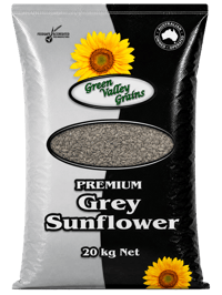 PREMIUM GREY SUNFLOWER SEEDS thumbnail