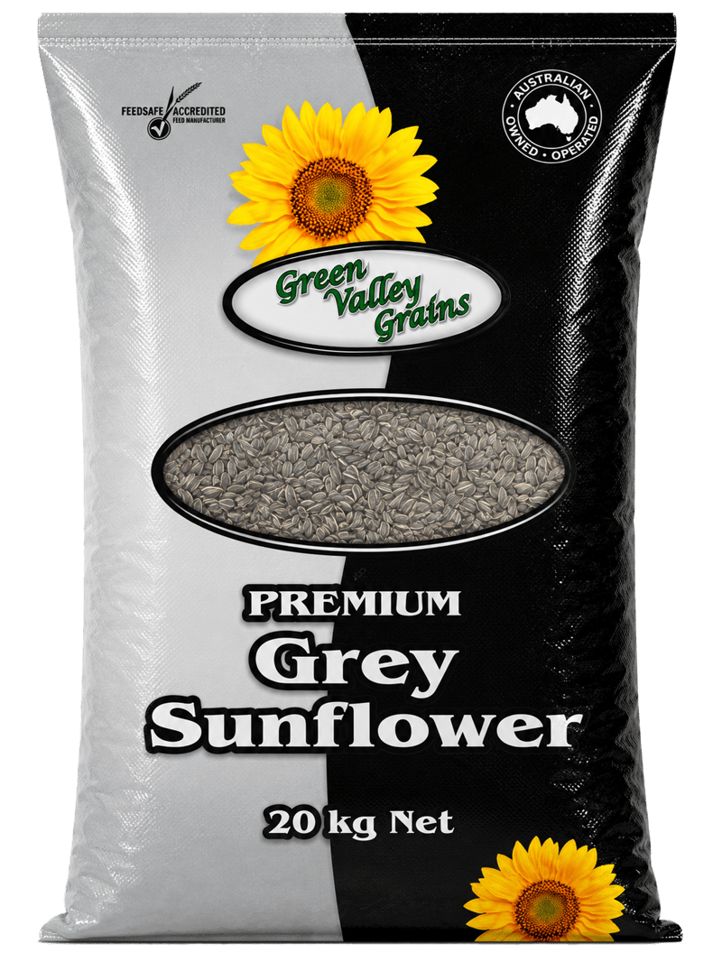 PREMIUM GREY SUNFLOWER SEEDS