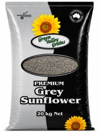 PREMIUM GREY SUNFLOWER SEEDS thumbnail