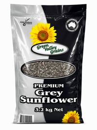 PREMIUM GREY SUNFLOWER SEEDS thumbnail