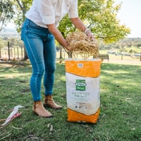 OATEN HAY MINI BALE 22l thumbnail