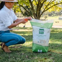 LUCERNE HAY MINI BALE 22l thumbnail