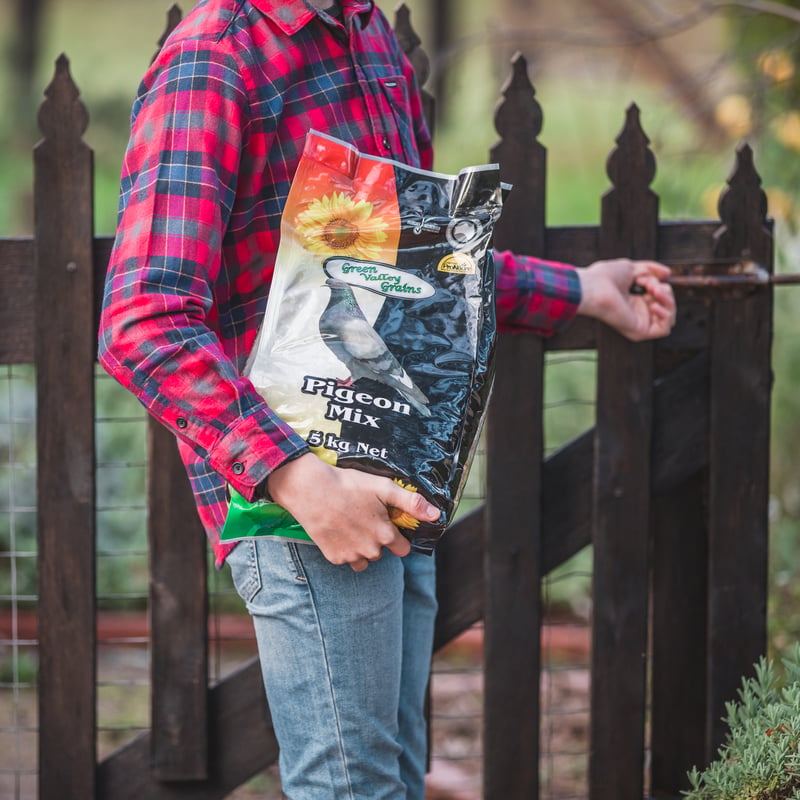 PIGEON MIX