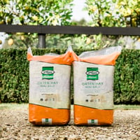 OATEN HAY MINI BALE 22l thumbnail