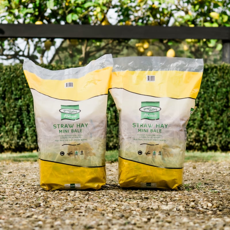 STRAW HAY MINI BALE 22l