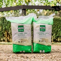 LUCERNE HAY MINI BALE 22l thumbnail