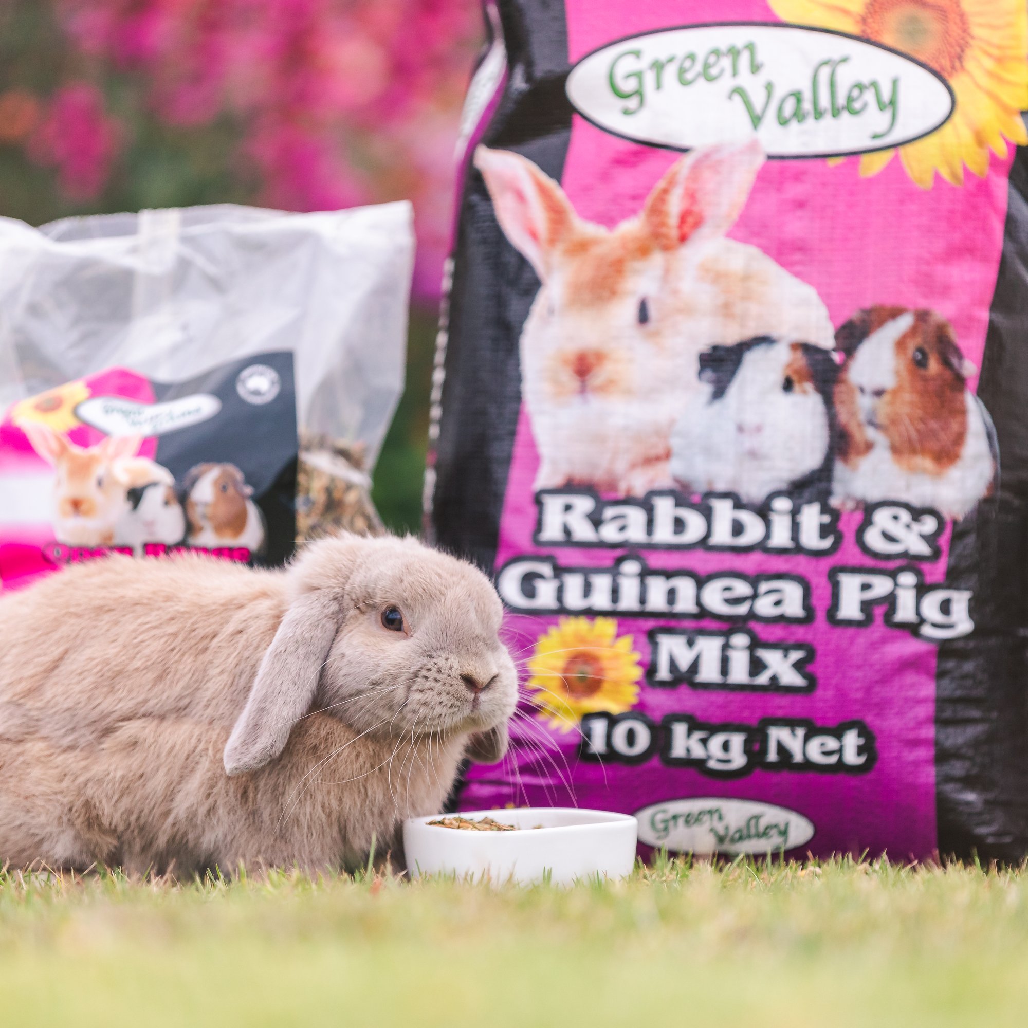 March5-2021-7934_original