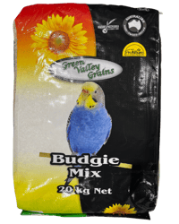 BUDGIE MIX thumbnail