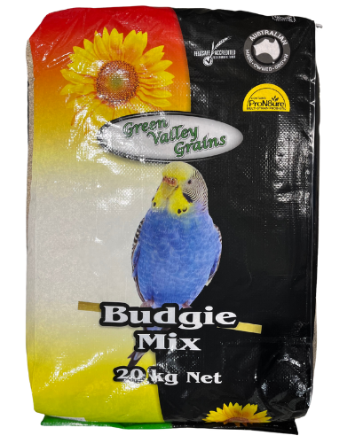 BUDGIE MIX