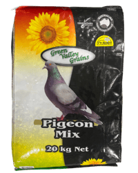 PIGEON MIX thumbnail