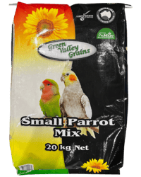 SMALL PARROT MIX thumbnail