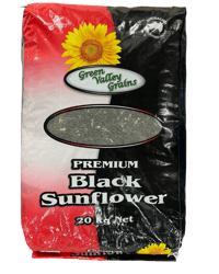 PREMIUM BLACK SUNFLOWER SEEDS thumbnail