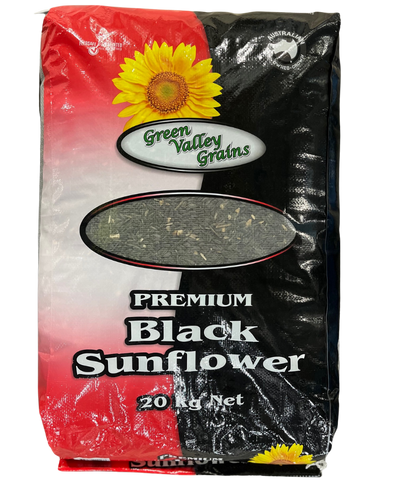 PREMIUM BLACK SUNFLOWER SEEDS