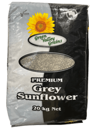 PREMIUM GREY SUNFLOWER SEEDS thumbnail