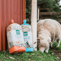 OATEN HAY MINI BALE 11L  thumbnail
