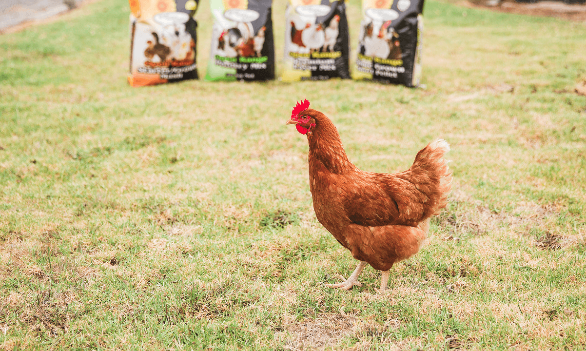 Poultry Products (1)