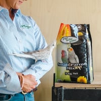 SMALL PARROT MIX thumbnail