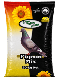 PIGEON MIX thumbnail