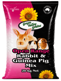 RABBIT AND GUINEA PIG MIX thumbnail