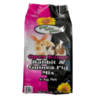 RABBIT AND GUINEA PIG MIX thumbnail
