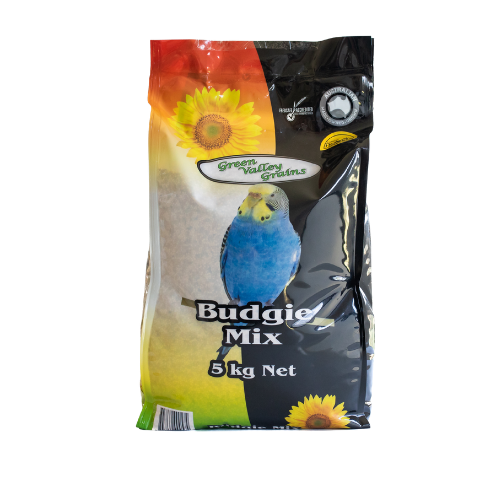 BUDGIE MIX