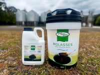 GVG MOLASSES 6KG thumbnail