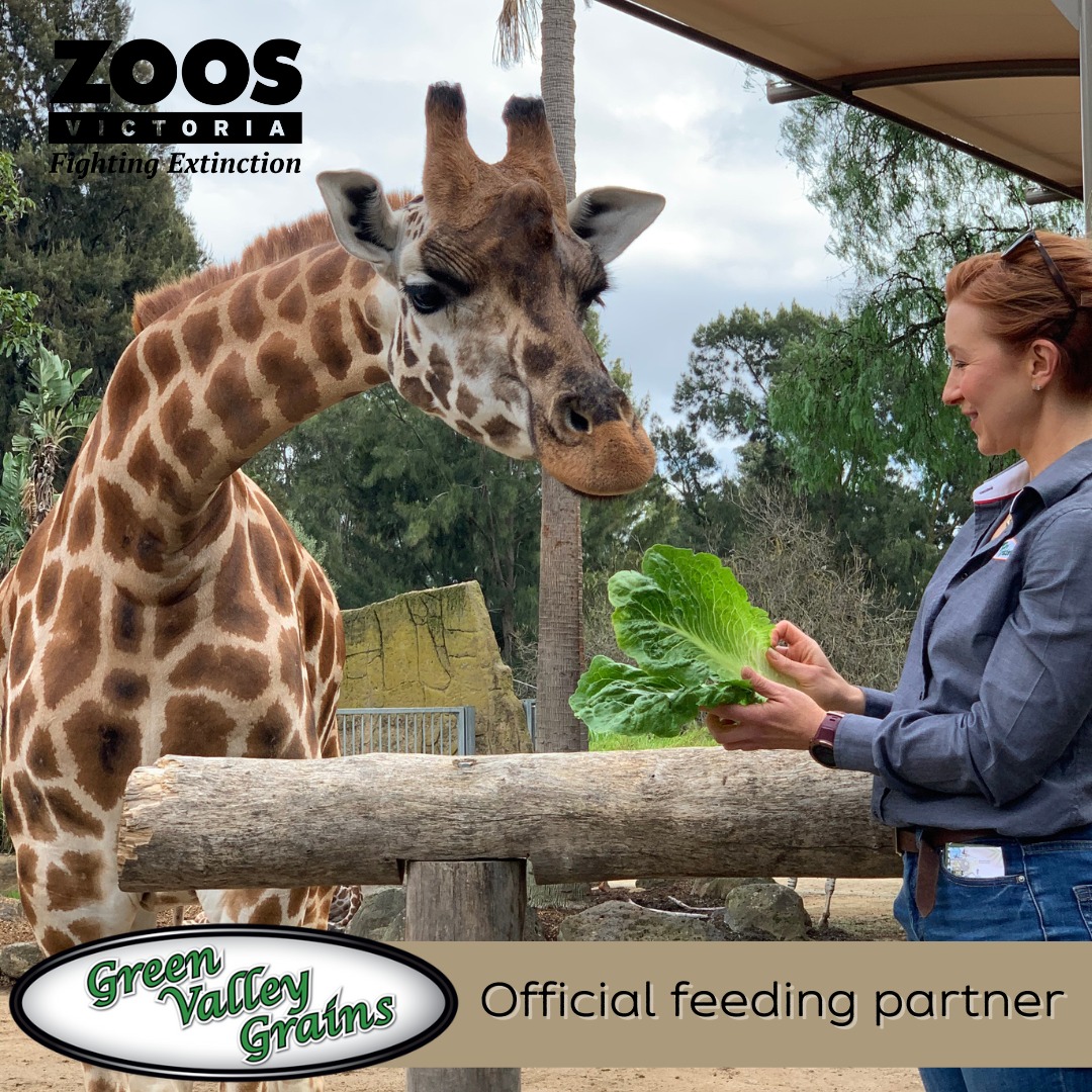 373010182_780579397403812_8105879019264563352_n