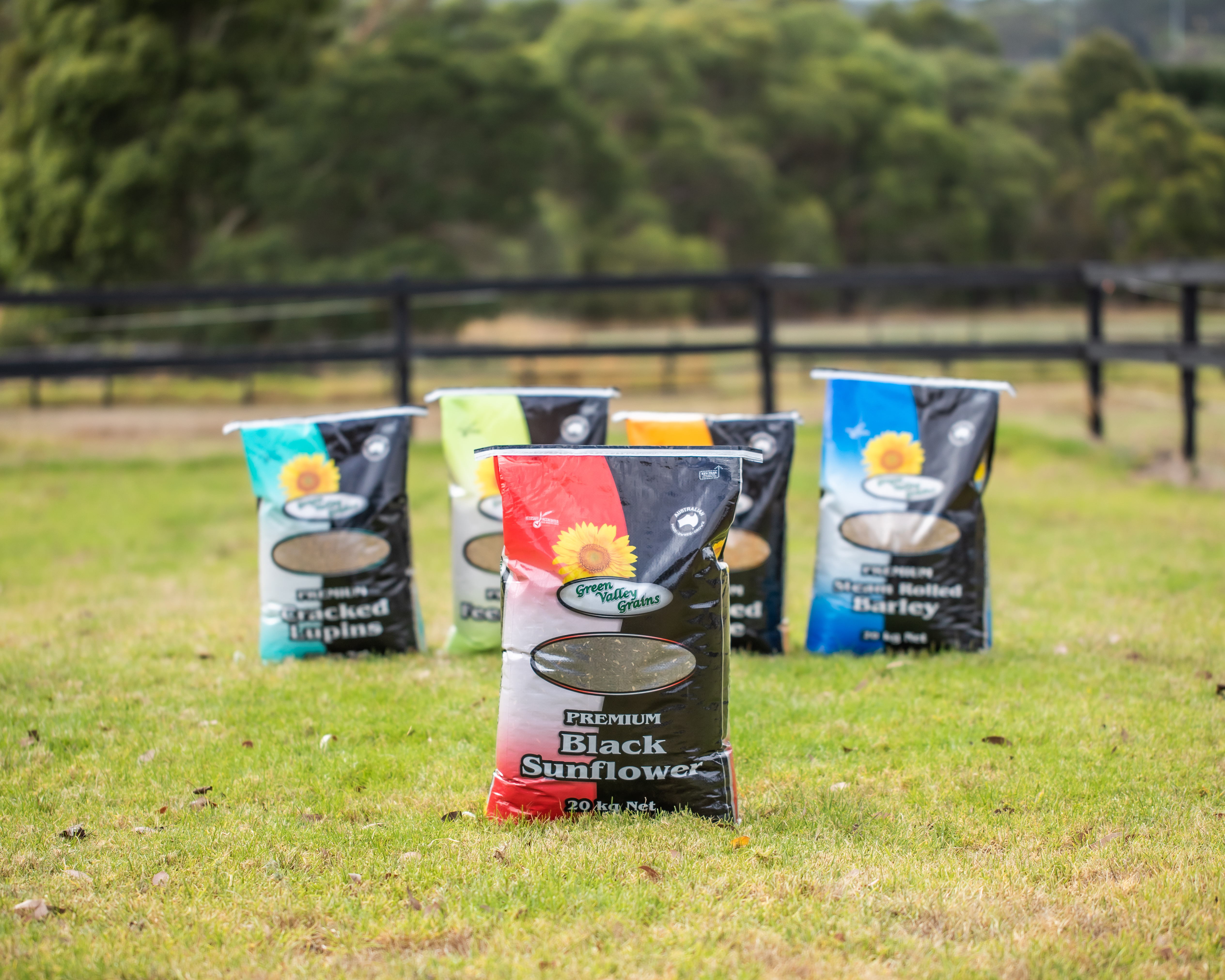 GVGMarch2023-KJ-8653