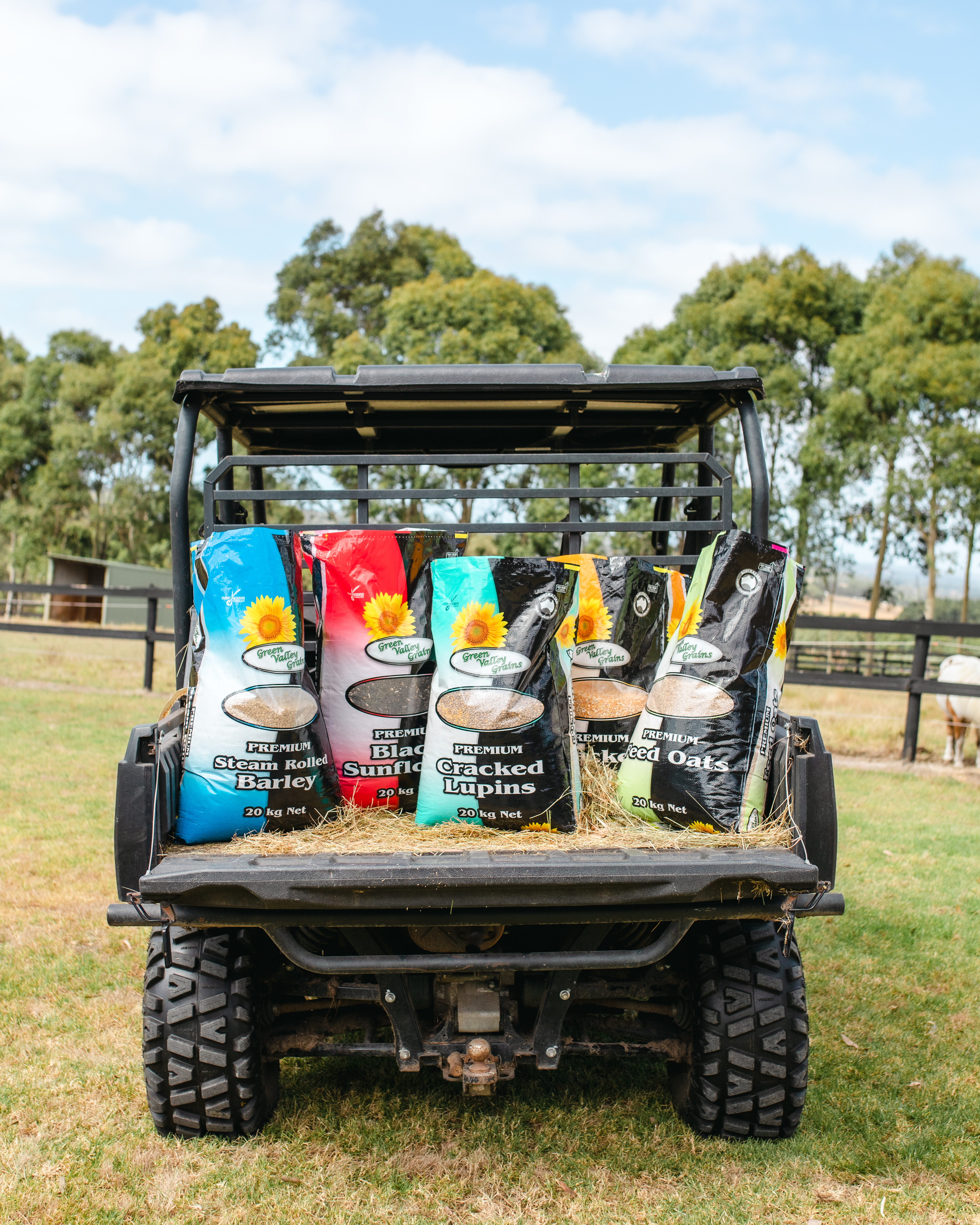 GVGMarch2023-KJ-9874