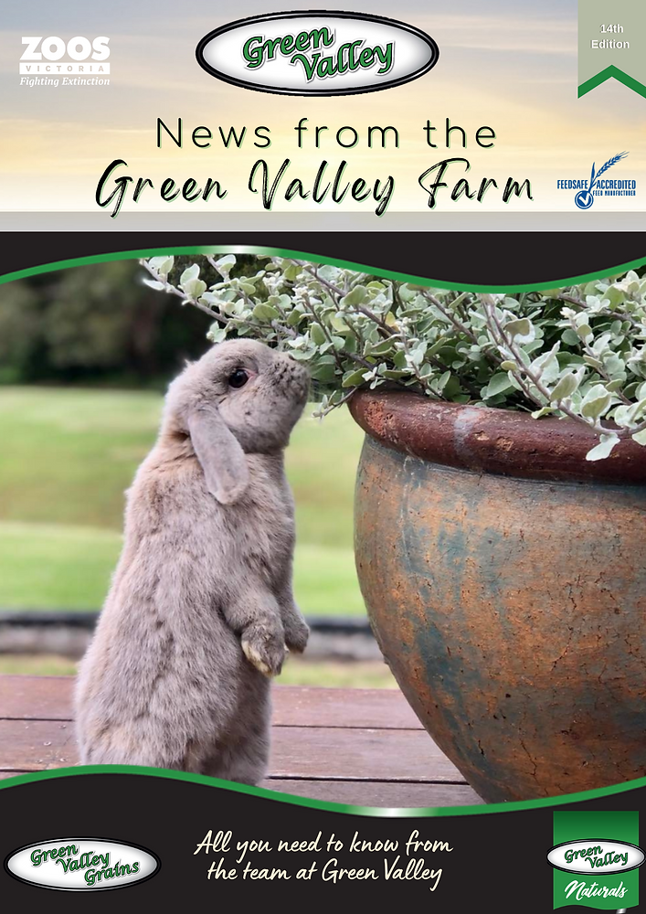 News from the Farm 14th Edition