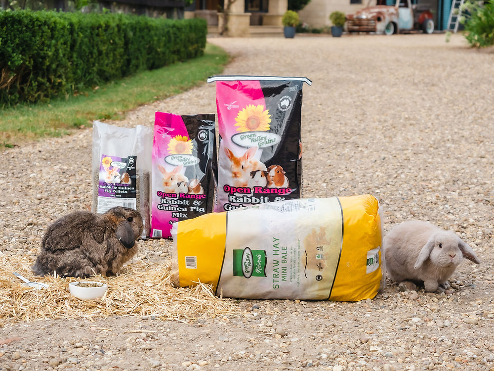 Feeding Tips for a Healthy, Happy Rabbit