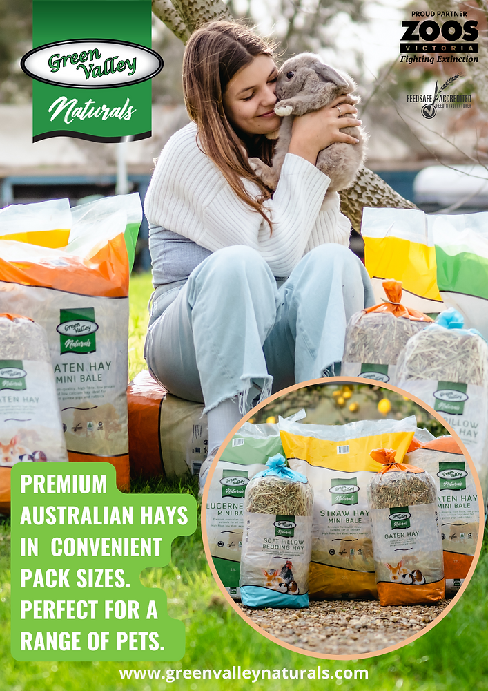 The importance of feeding hay to Rabbits