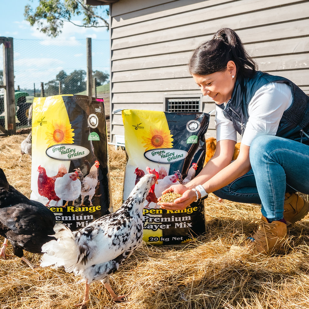 Nourishing Layers for Better Eggs: Why Feed Premium Layer Mix from GVG