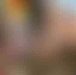 Chicken in coop with Green Valley Grains Premium Layer Mix 