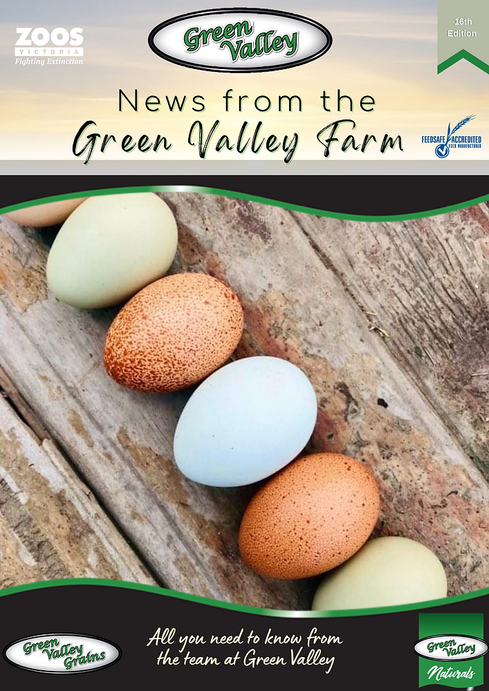 News From the Farm - 16th Edition