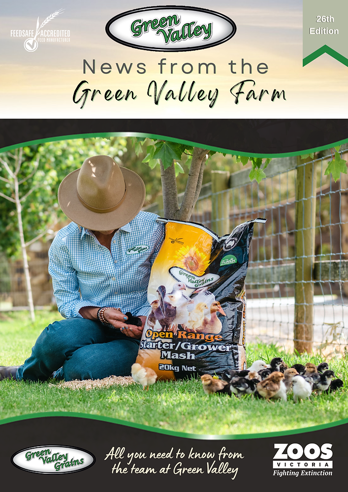 26th Edition of News from the GVG Farm