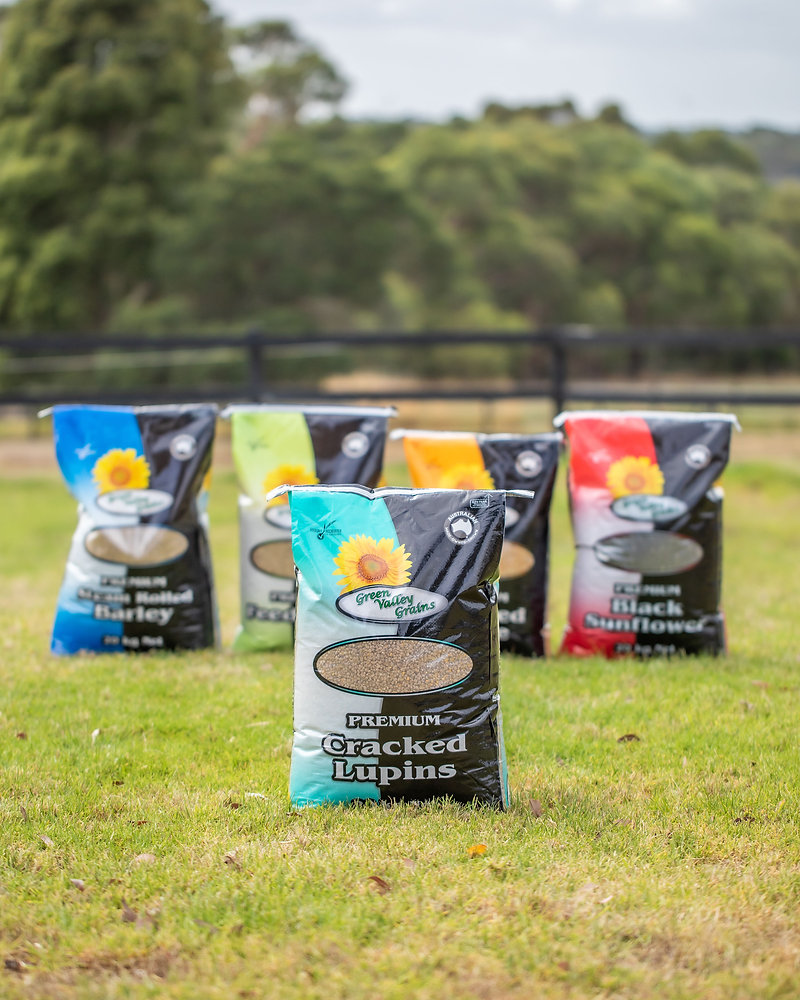 Feeding Horses in Spring: Balancing Fibre, Pasture Risk, and Supplements