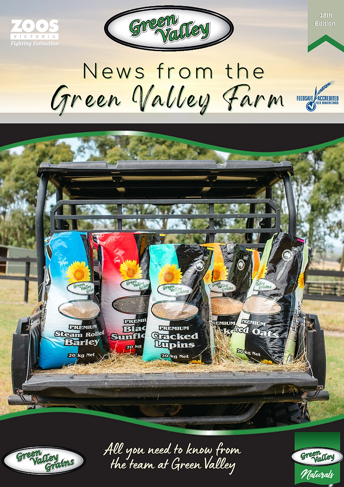 News from the Farm 18th Edition