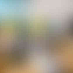 Chicken in coop with Green Valley Grains Premium Layer Mix 