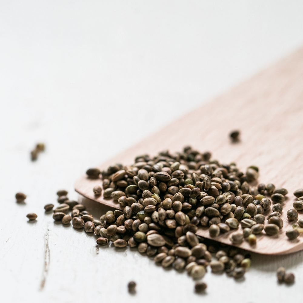 Benefits of adding Hemp Seeds to your bird's diet