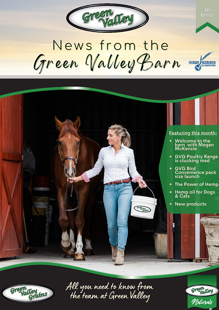 NEWS FROM THE BARN - 1st EDITION