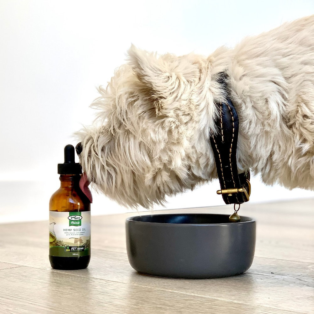 Can I apply Hemp Seed Oil to my dog’s skin?